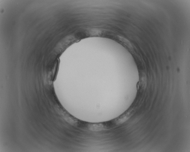 X0000060790525200512082127