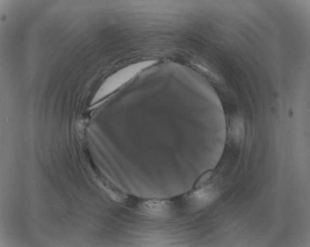 X0000060790526200512082127