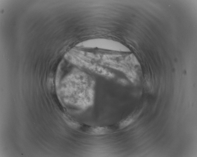 X0000060790527200512082127