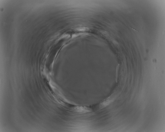 X0000060790528200512082127