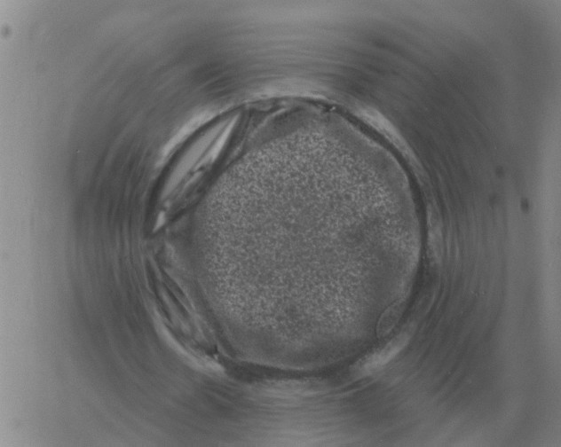 X0000060790530200512082126