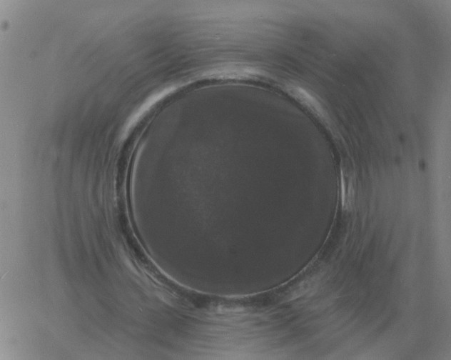 X0000060790531200512082126