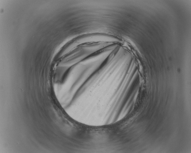 X0000060790532200512082126