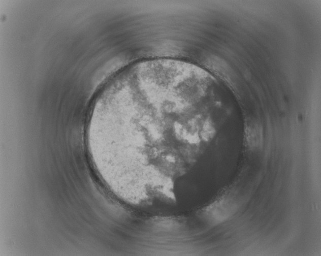 X0000060790534200512082126