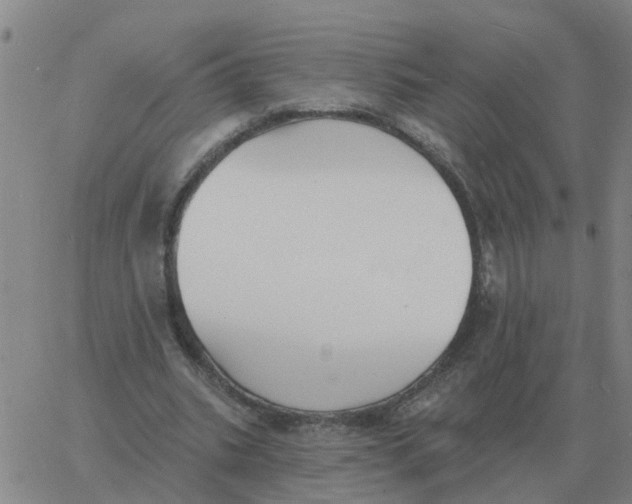 X0000060790535200512082126