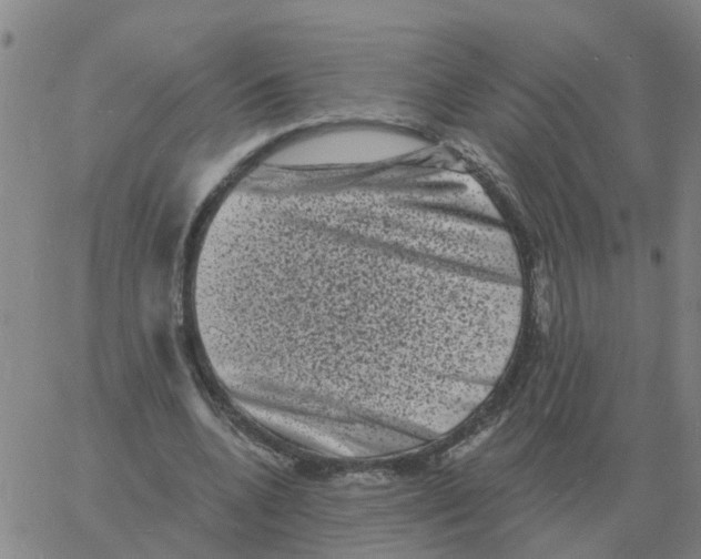 X0000060790536200512082126