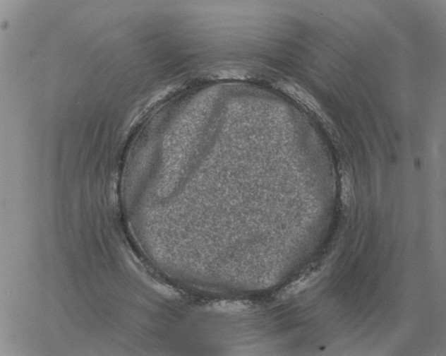 X0000060790537200512082126