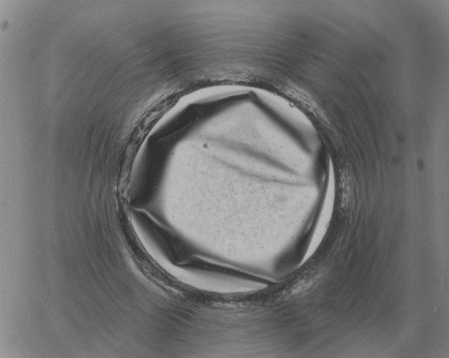 X0000060790538200512082126