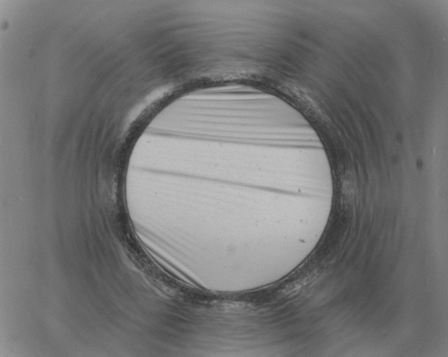 X0000060790539200512082126