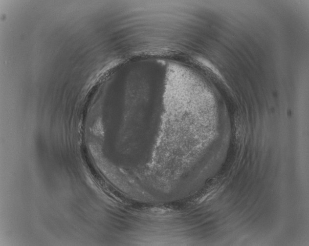 X0000060790542200512082126