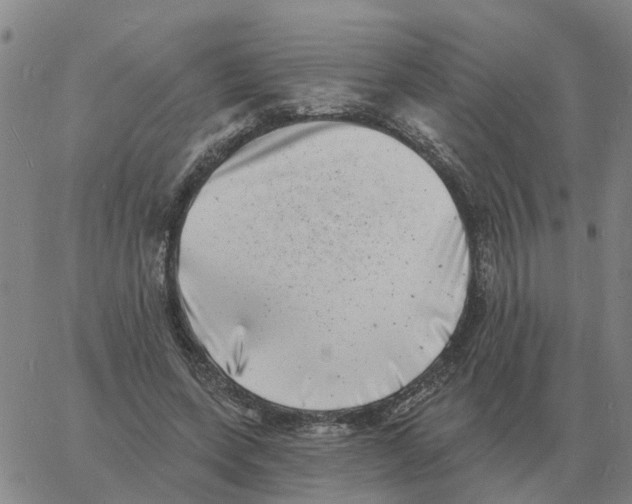 X0000060790543200512082127