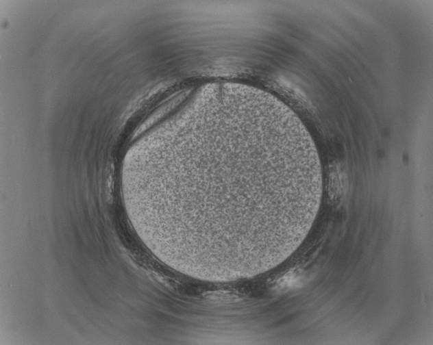 X0000060790544200512082127