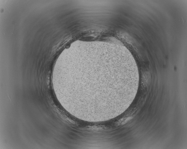 X0000060790545200512082127