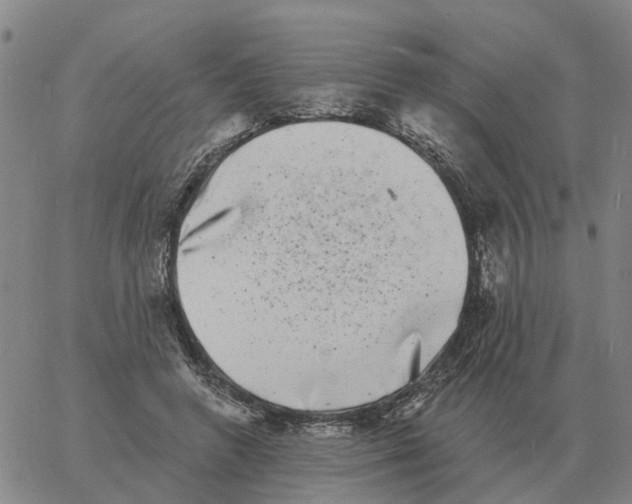 X0000060790546200512082127