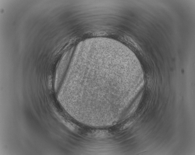 X0000060790549200512082127