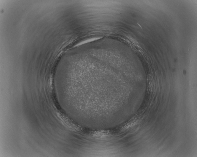 X0000060790550200512082127