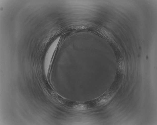 X0000060790551200512082127