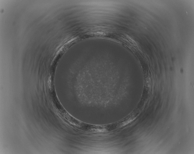 X0000060790552200512082127