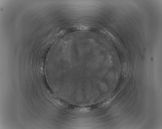 X0000060790553200512082127