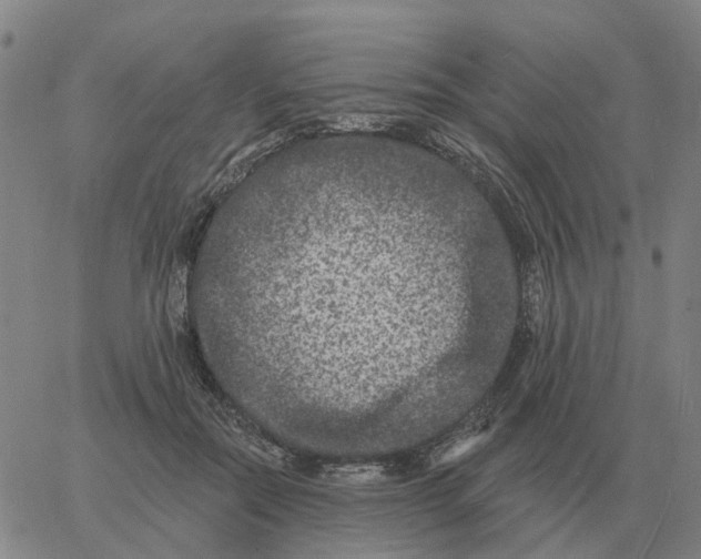 X0000060790554200512082127