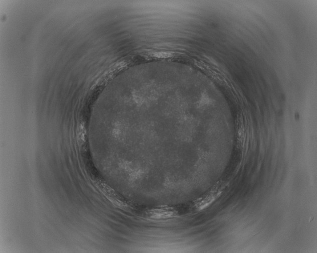 X0000060790555200512082127