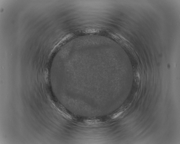 X0000060790556200512082127