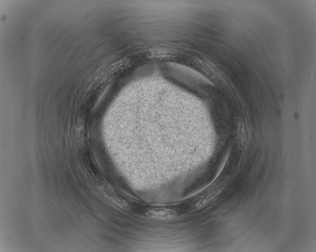 X0000060790557200512082127