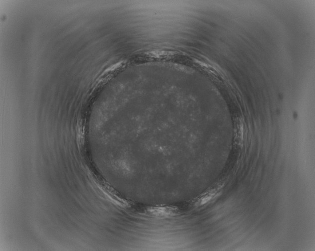 X0000060790558200512082127