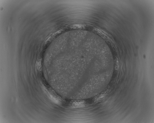 X0000060790560200512082127