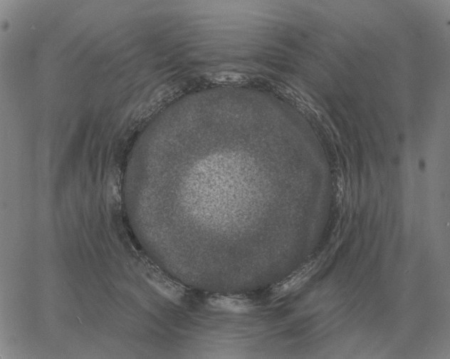 X0000060790561200512082127