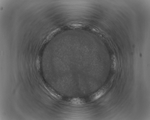 X0000060790562200512082127