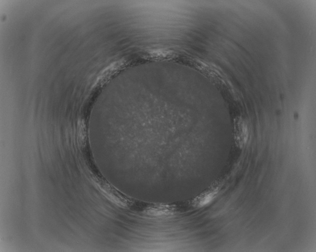 X0000060790563200512082127