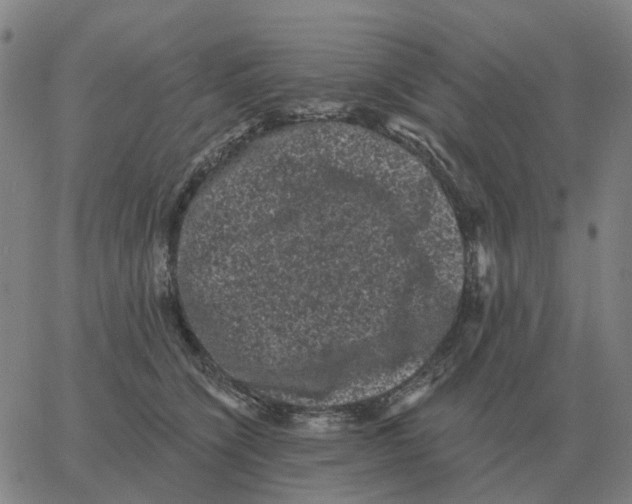 X0000060790564200512082127