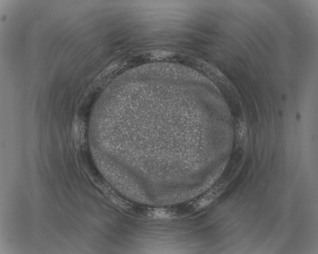 X0000060790565200512082127