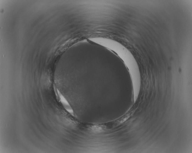 X0000060790566200512082127