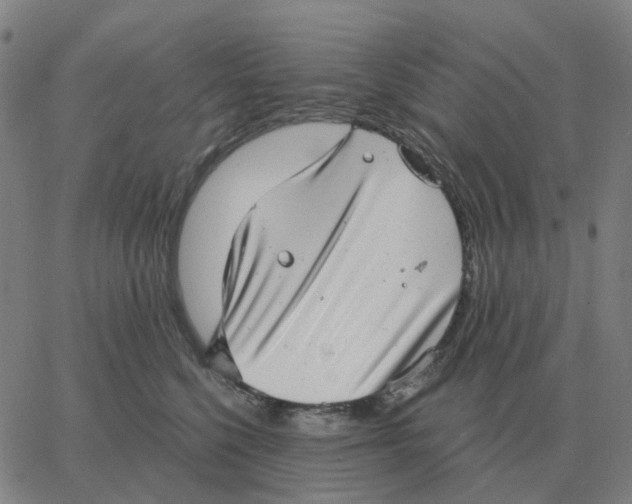 X0000060790568200512082127