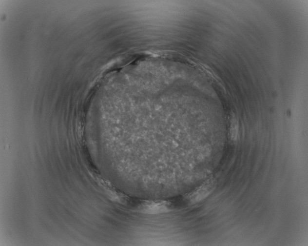 X0000060790569200512082127