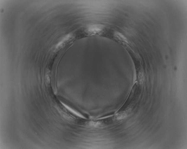 X0000060790570200512082127