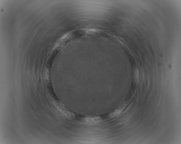 X0000060790571200512082127