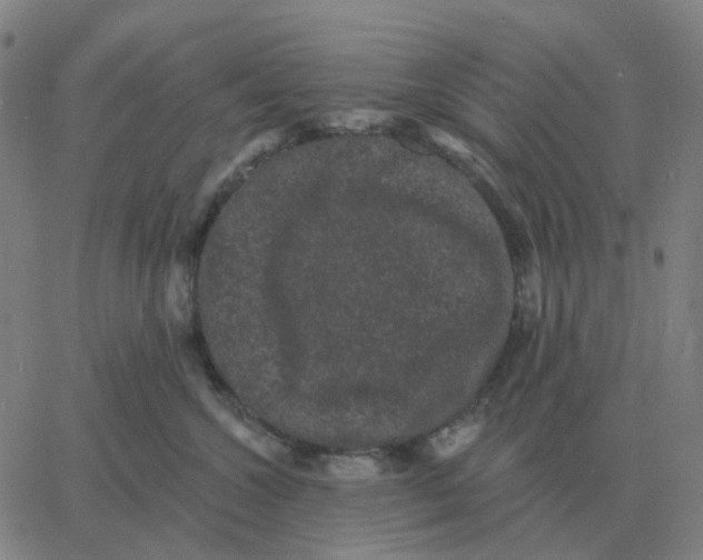 X0000060790572200512082127