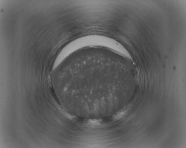 X0000060790573200512082127