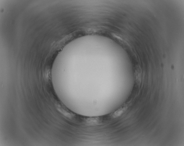 X0000060790574200512082127