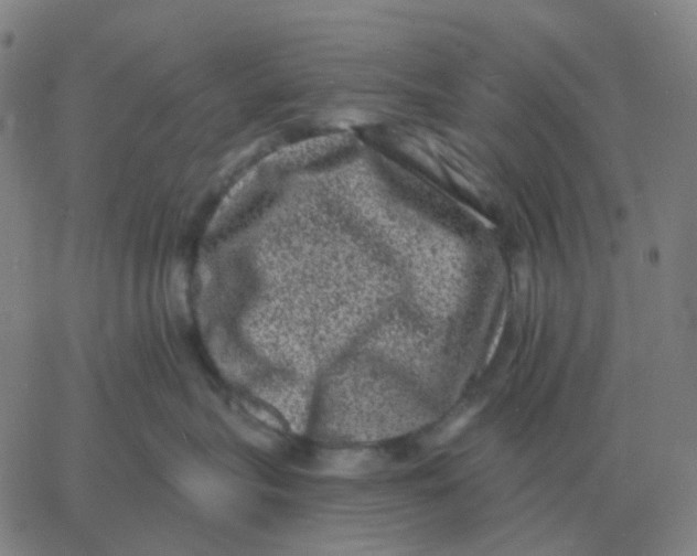 X0000060790575200512082127