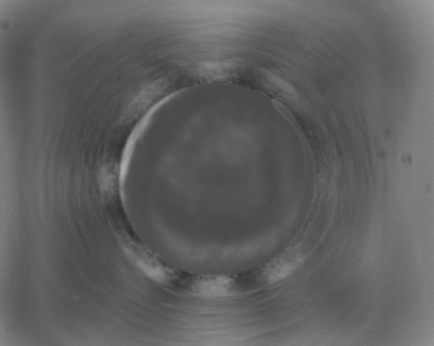 X0000060790576200512082127