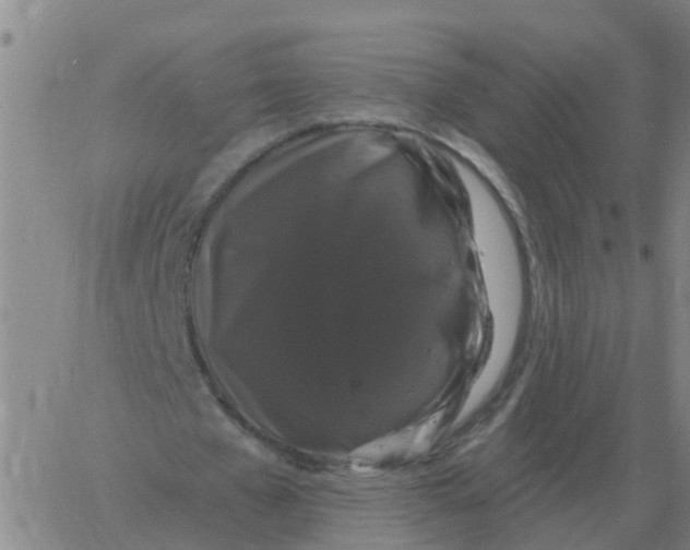 X0000060790577200512082126