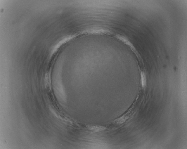 X0000060790579200512082126