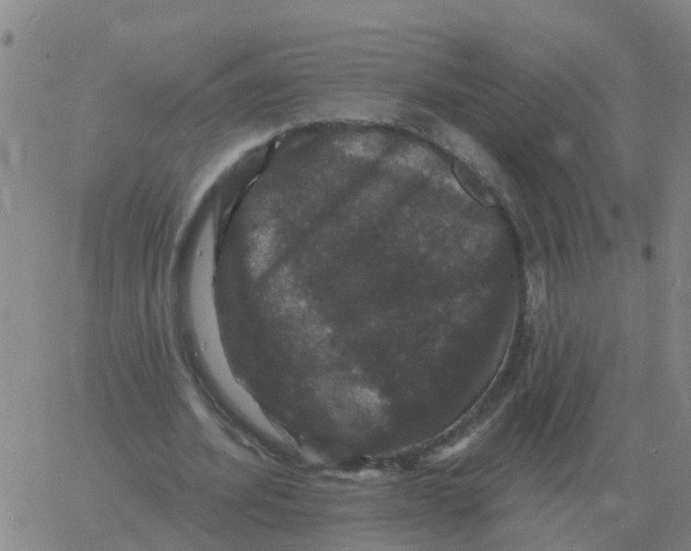 X0000060790580200512082126