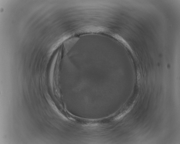 X0000060790581200512082126