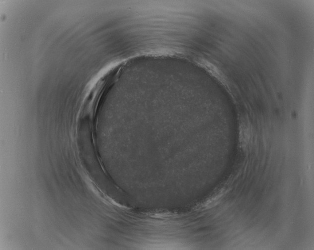 X0000060790584200512082126