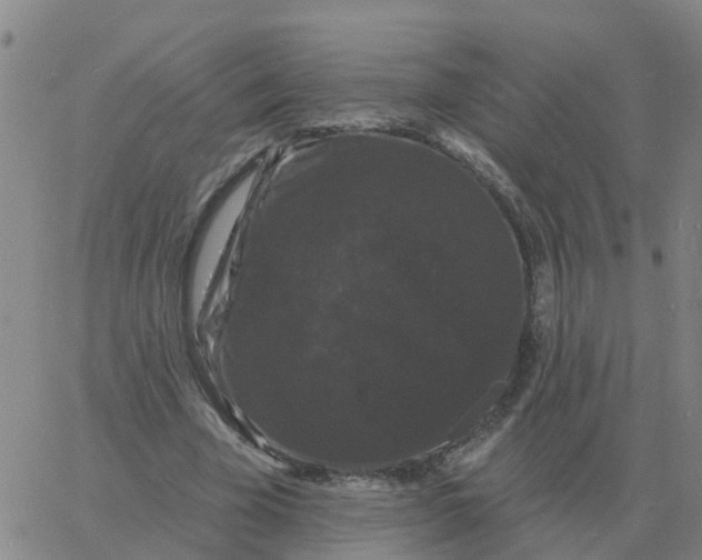 X0000060790585200512082126